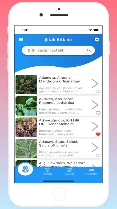Capturas de pantalla de Şifalı Bitkiler (İnternetsiz)