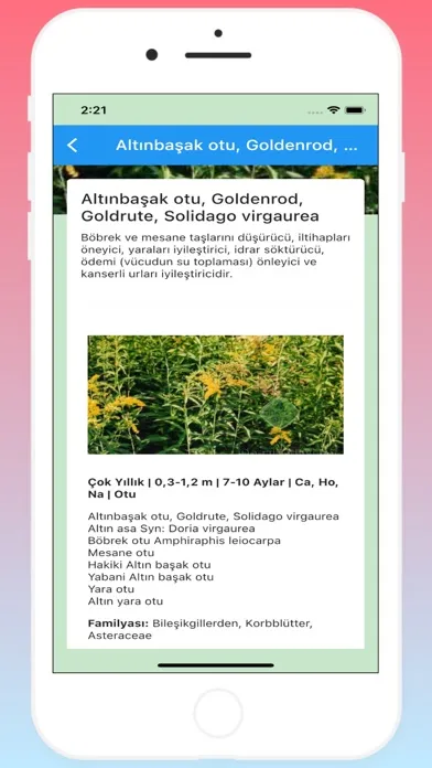 Capturas de pantalla de Şifalı Bitkiler (İnternetsiz)