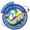 Tirta Gadog