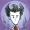 Don't Starve: Pocket Edition+