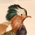 Art of Fauna: Nature Puzzles Art of Fauna: Nature Puzzles