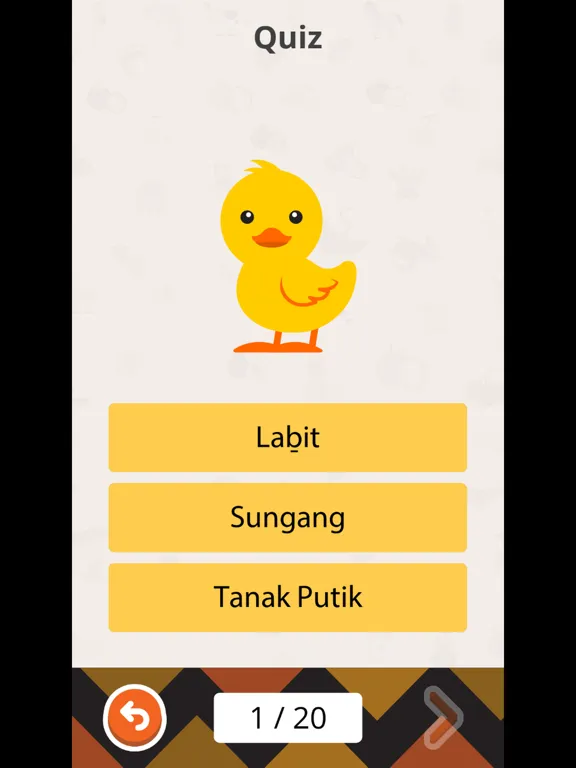 Скриншоты Kadazan Flash Cards Vol 1 iPad 