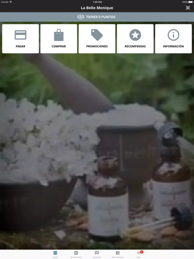 La Belle Monique iPad  스크린샷