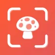 Mushroom ID・Picture Identifier