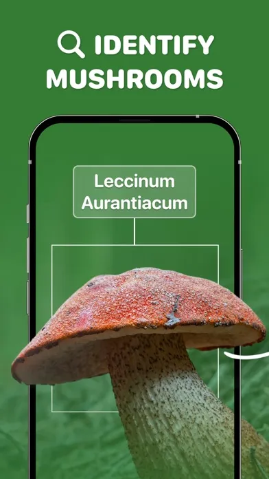Mushroom ID・Picture Identifier سکرین شاٹس