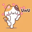 Meong the Meme Cat Meong the Meme Cat