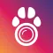 PetCam App - Dog Camera App