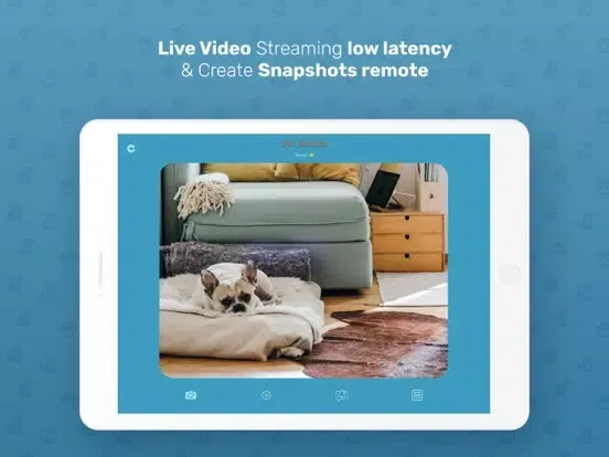 WhatsPet App -Dog Monitor App iPad  Screenshots