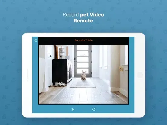 WhatsPet App -Dog Monitor App iPad  Screenshots