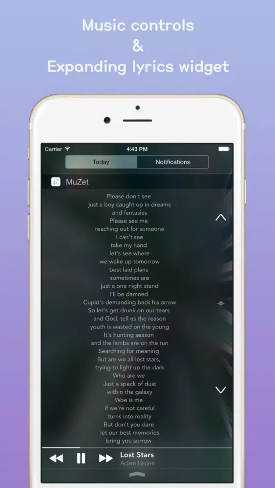 Tangkapan layar MuZet - Lyrics Widget