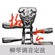 LiuQin Tuner-Tuner for LiuQin