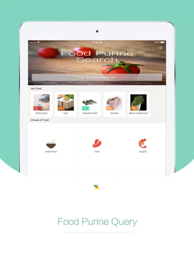 Tangkapan skrin No Gout-Real time purine query iPad 