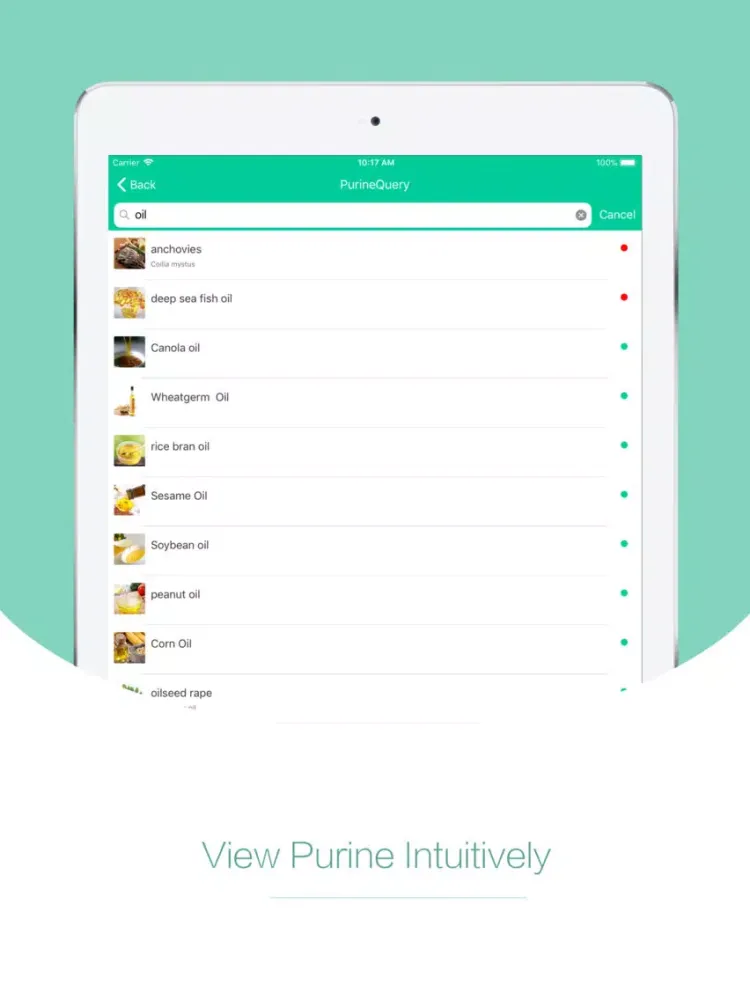 Tangkapan skrin No Gout-Real time purine query iPad 