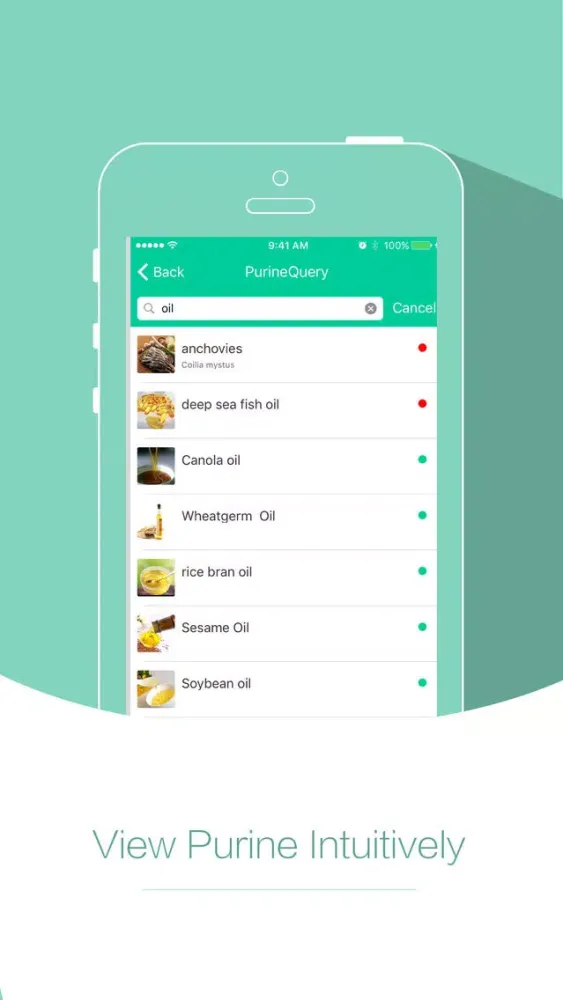 Tangkapan skrin No Gout-Real time purine query