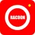 racoon
