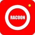 racoon racoon