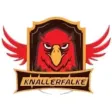 Knallerfalke: Reselling Deals Knallerfalke: Reselling Deals