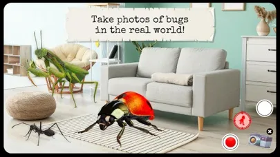 Bugs & Insects VR/AR Kid Game スクリーンショット