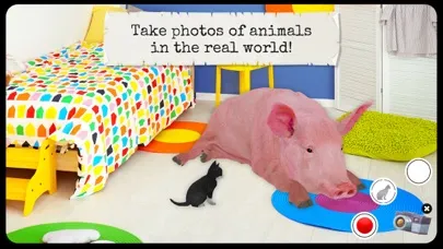 تصاویر Farm Animals & Pets (Full)