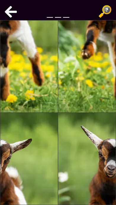 Captures d'écran de Funny Animal & Dinosaur (full)