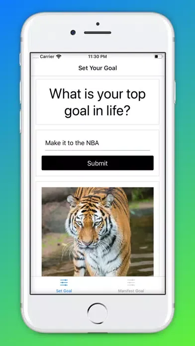 Goal Manifester Screenshots