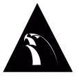 Alliance Jiu-Jitsu