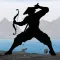 Sword Shadow Fighting Game 3D