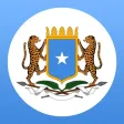 Somalia Executive Monitor