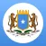 Somalia Executive Monitor