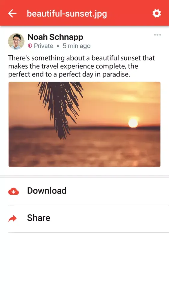 Saasuma: Cloud Search Tool Screenshots