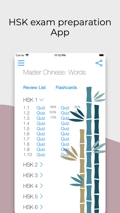 Master Chinese: Words 스크린샷