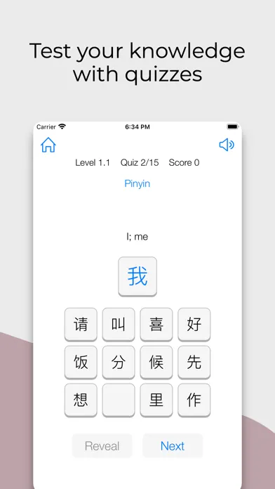 Master Chinese: Words 스크린샷