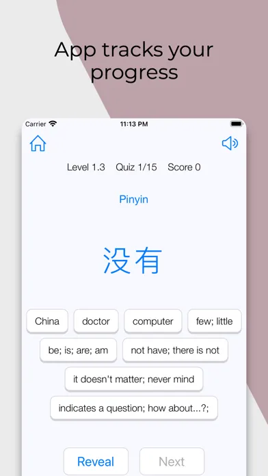 Master Chinese: Words 스크린샷