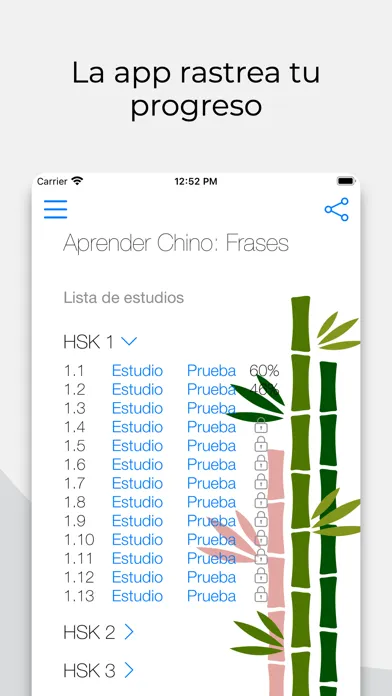 Screenshot di Aprender Chino: Frases