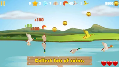 Screenshot di Duck Hunter - Funny Game