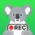 Screen Recorder Koala