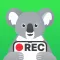 Screen Recorder Koala