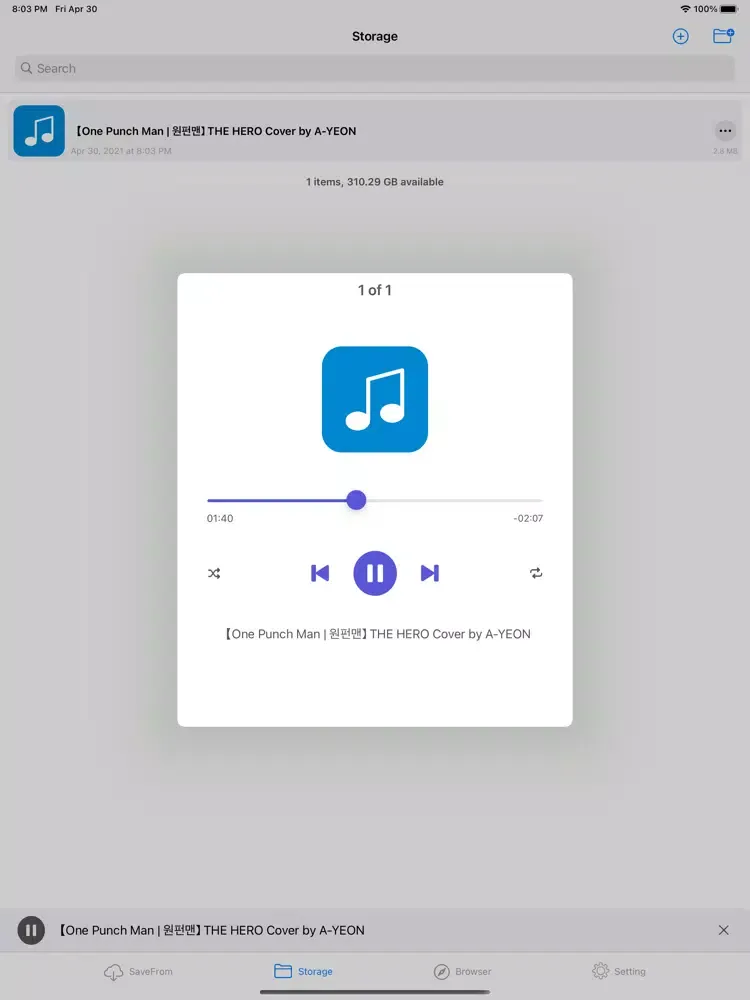ภาพหน้าจอของ SaveFile: Offline File Manager iPad 