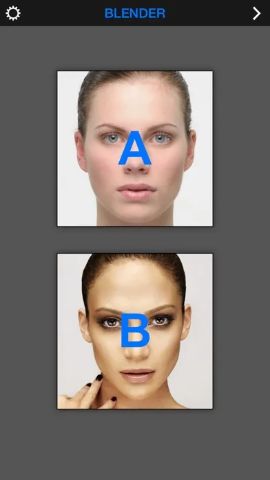 Tangkapan layar Face Blender.