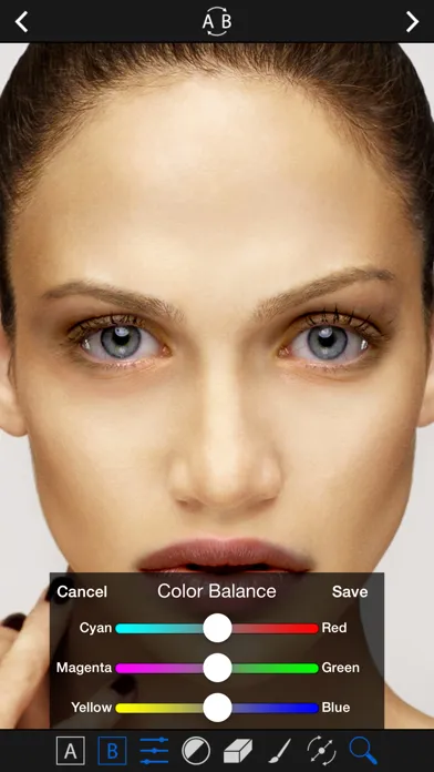 Tangkapan layar Face Blender.