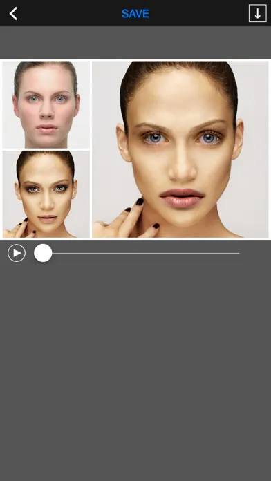 Tangkapan layar Face Blender.