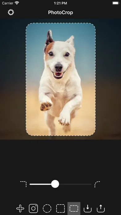 Capturas de pantalla de PhotoCrop.