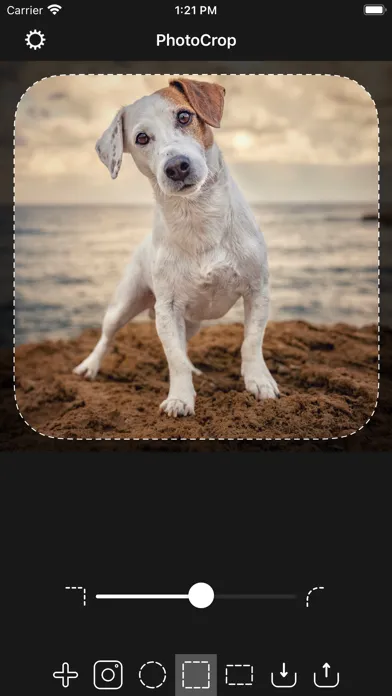 Capturas de pantalla de PhotoCrop.