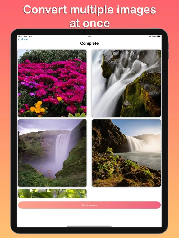 HEIC to JPG Converter ™ iPad  Screenshots
