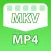 MKV to MP4 Converter