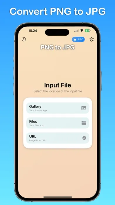 PNG to JPG Converter Screenshots