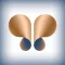 Papillon Hotels