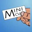 Your mini-CV Your mini-CV