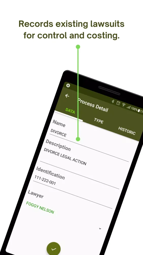 Screenshot di Divorce Planning
