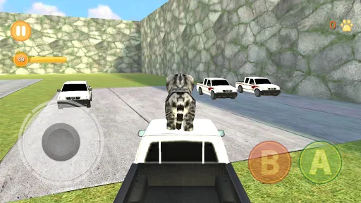 Kitten Cat Simulator 3D Craft Screenshots